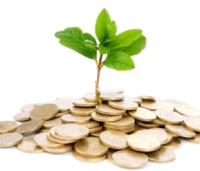 plant-you-money-tree-with-educators-legacy